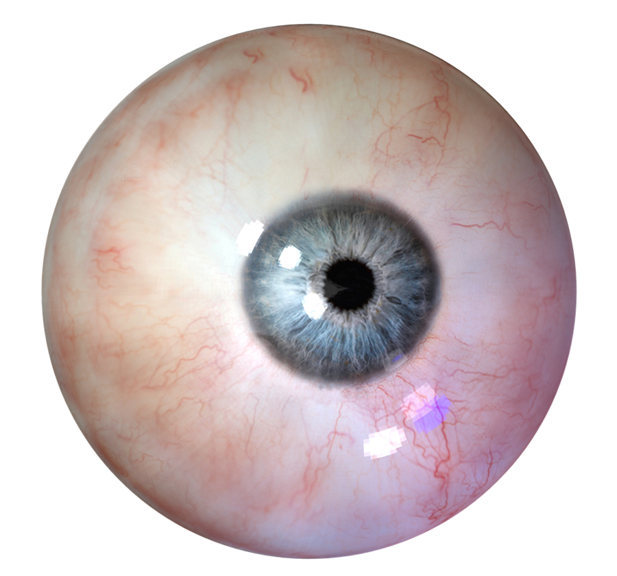 watcher.png