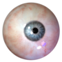 watcher.png